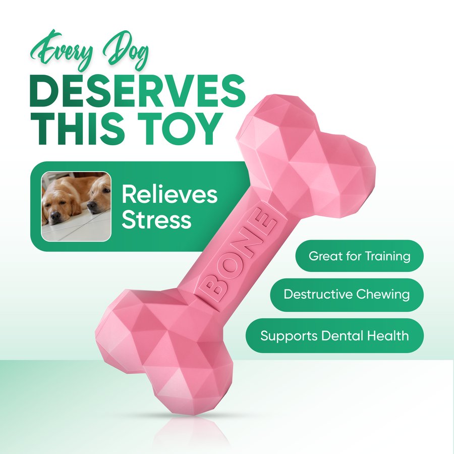 Natural Rubber Chew Bone — Medium/Large Dogs — photo 4